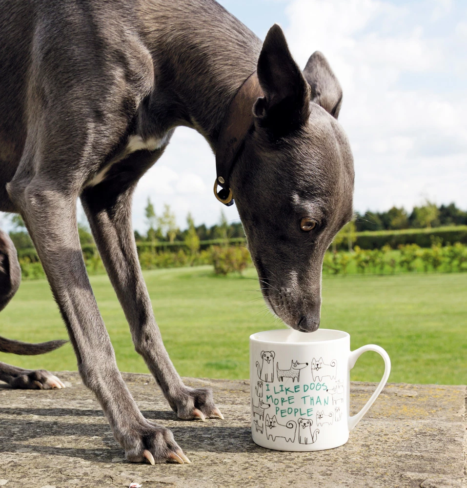 Kitchen Craft I Like Dogs More Than People Mug 4 Kitchen Craft I Like Dogs More Than People Mug